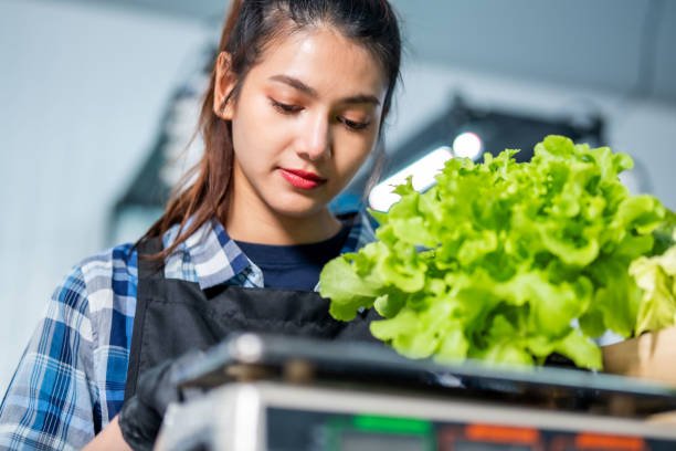 istock Asian farmers at hydroponic vegetables salad farm. 2165983884