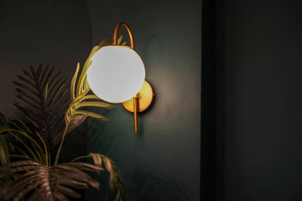 Home decoration round light lamp on wall with plants in dark room