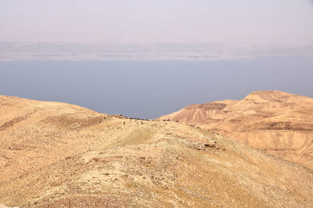 istock A herd of goats in Jordan desert 2165985801