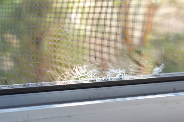 istock Mosquito Net holes. Repair mosquito screen. 2165986743