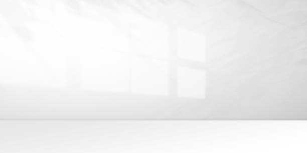 istock Background of white room with window shadow and trees, leaves 2165987913