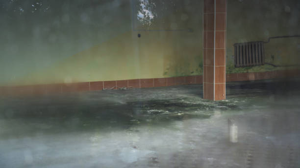 istock The interior of an abandoned grocery store 2165991949