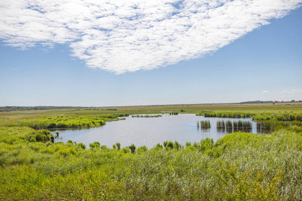 istock View over a small lake in a flat landscape 2165994567