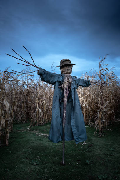 istock Scary scarecrow in a hat and coat 2165995351