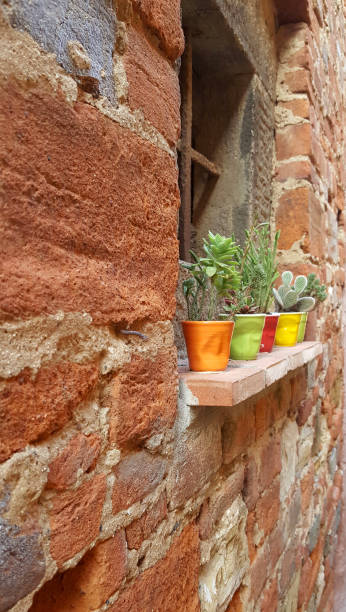 Small pots with plants on the windowsill of an old house somewhere in Italy.