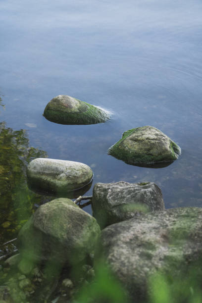 The rocks on the lake shore are covered with algae. High quality photo