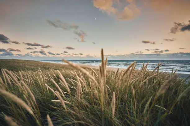 Scenic View Of Sea Against Sky Scenic View Of Sea Against Sky