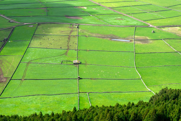 istock Lush green fields of the Azores, divided by stone walls forming rectangular plots. 2166000376