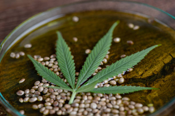 Cosmetics hemp, medical marijuana concept