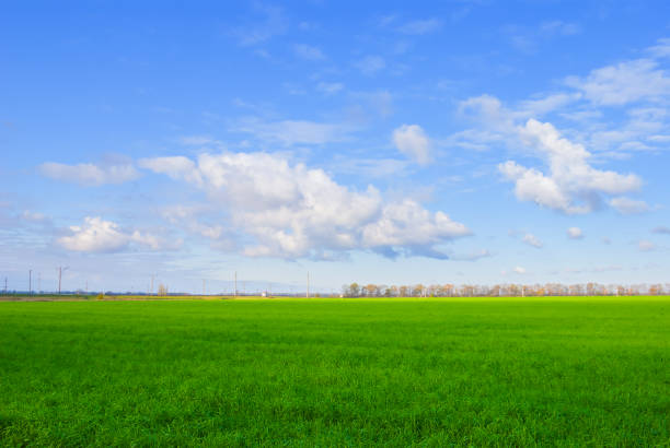 istock wide green rural field under a blue cloudy sky 2166010202