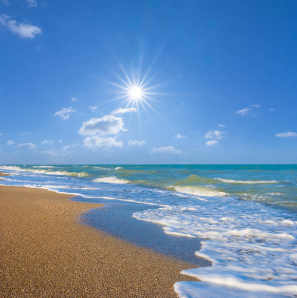 istock summer sandy sea beach at the sunny day 2166010301