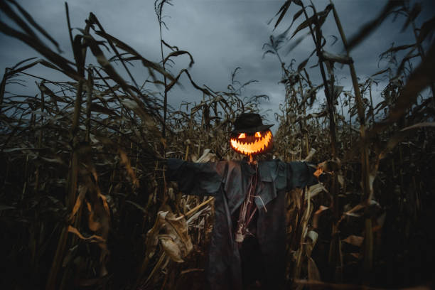 istock Scary pumpkin scarecrow in a hat 2166017947