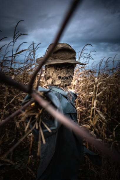 Scarecrow found on a farm located in the Saanich Peninsula on Vancouver Island, British Columbia