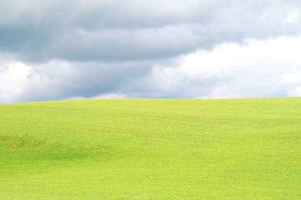Sunny meadow on a hill illuminated from the front. Storm clouds. A meditative image for peace and relaxation.