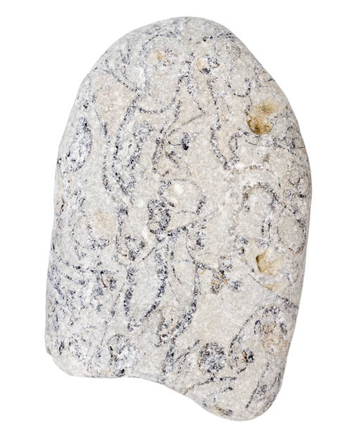istock Top view of single gray pebble 2166024116