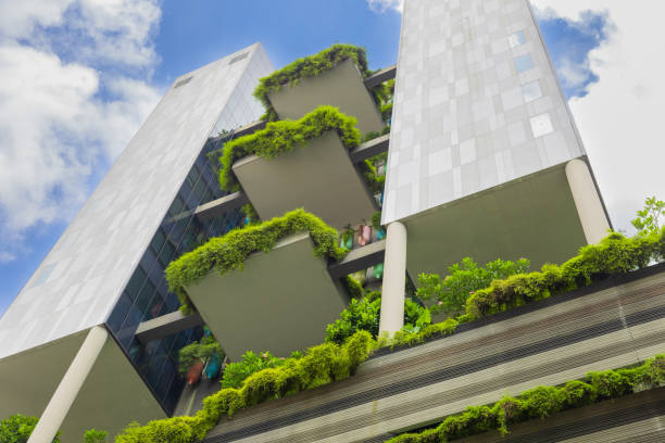 istock Vertical Garden – Sustainable Resources – Green Building 2166029417
