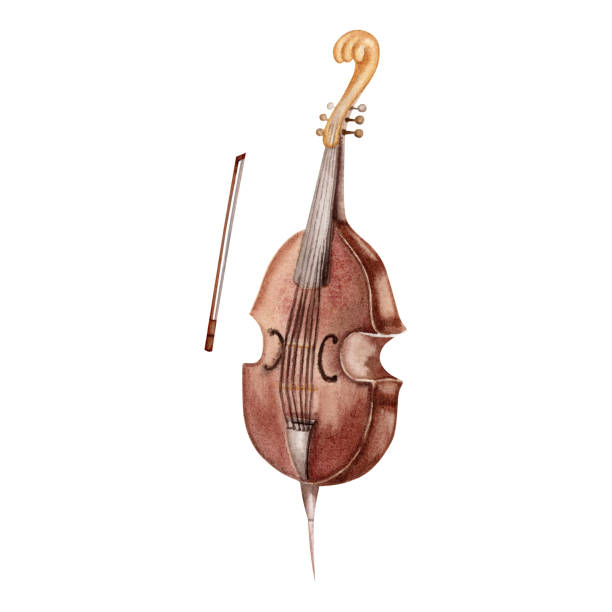 ilustraciones, imágenes clip art, dibujos animados e iconos de stock de vintage double bass musical instrument. classical viola da gamba with a string bow clip art. hand drawn watercolor illustration isolated on white background. for concert posters, flyers, wedding cards - jazz para boda