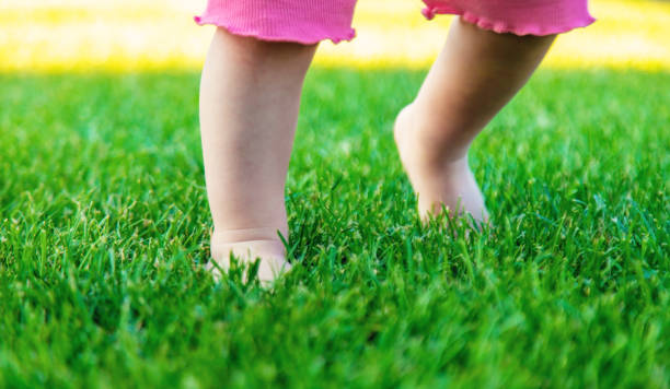 istock Children's legs run on green grass. children. 2166036225