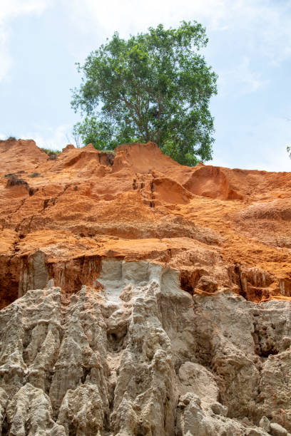 istock Pink stream, Binh Thuan province 2166037661