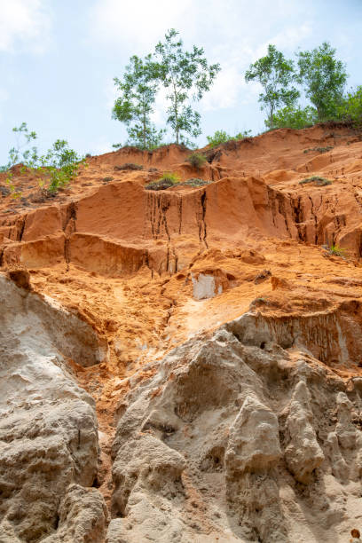 istock Pink stream, Binh Thuan province 2166037674