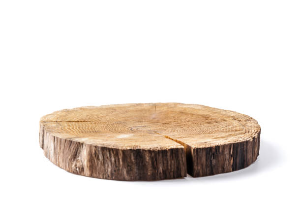 istock Wooden plate carved from tree trunk 2166040366