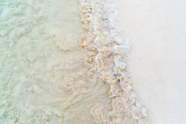 istock Foamy wave crashing on a pristine white sand beach 2166042892
