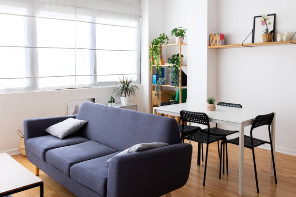 Cozy interior of minimal living room with sofa and dinning table stock photo