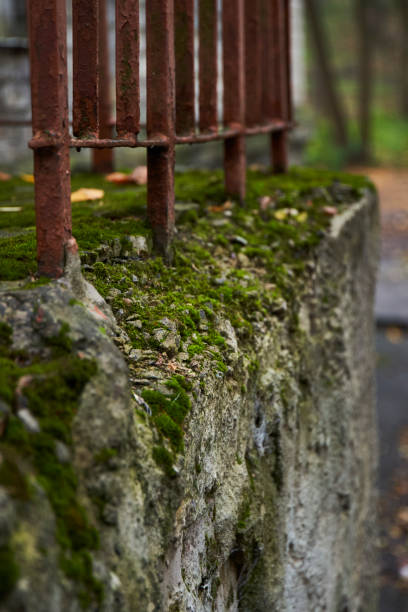 istock Moss-covered stone wall with rusted iron railings in a tranquil outdoor setting during autumn 2166045305