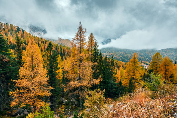 istock Incredible autumn view at Italian Dolomite Alps 2166045793