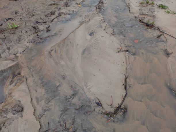 istock Gray soil after rain with streams of water. 2166048142