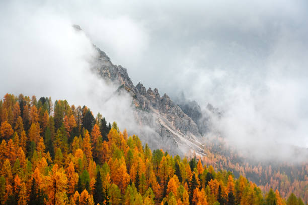 istock Incredible autumn view at Italian Dolomite Alps 2166051239