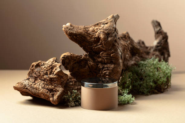 istock Abstract north nature composition and  podium for your product. 2166055511