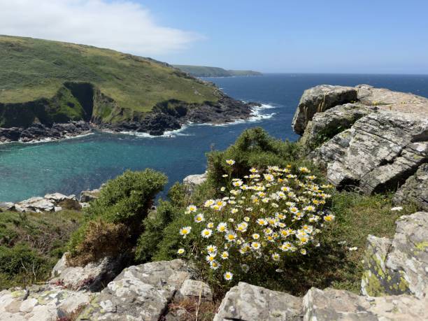 istock Porthmeor Cove 2166056134