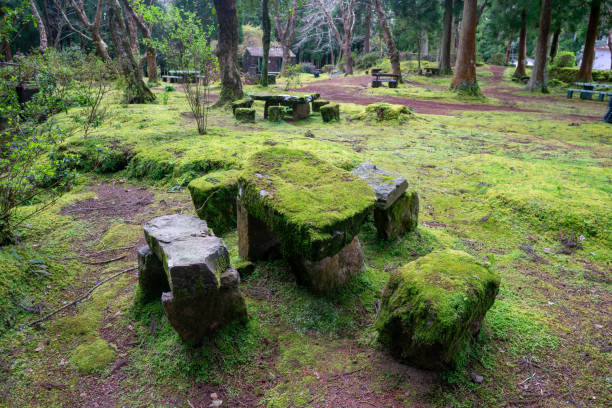 istock Stone picnic table and benches covered in moss. 2166058202