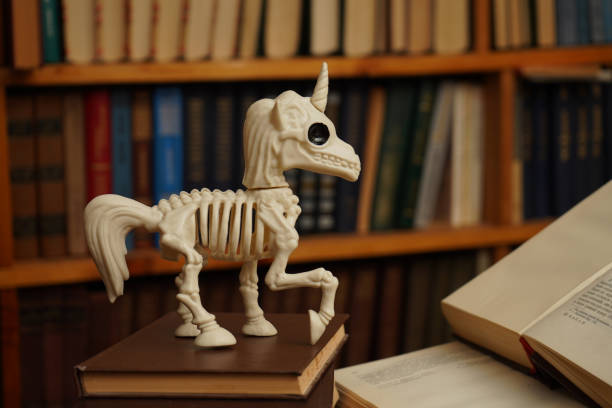 Skeleton of a unicorn  in a library.