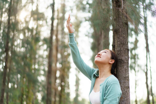 istock Asian beautiful woman relaxing in pine forest. 2166059394