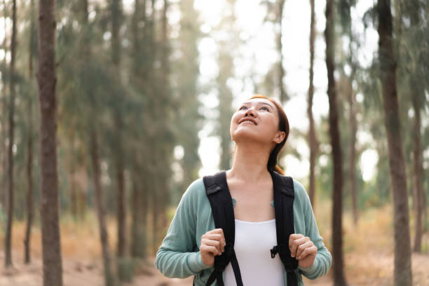 istock Asian beautiful woman relaxing in pine forest. 2166059413