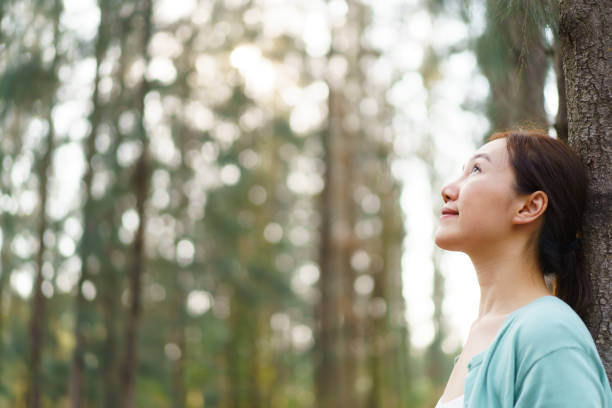 istock Asian beautiful woman relaxing in pine forest. 2166059421