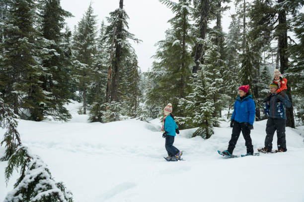 istock Family snowshoes through forest 2166059941