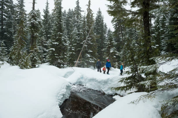 istock Family snowshoes through forest 2166059942