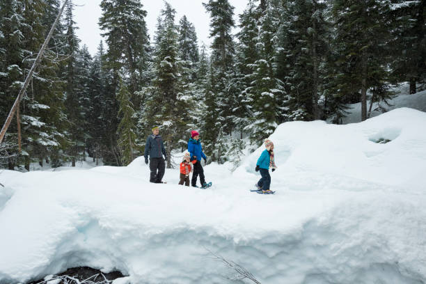 istock Family snowshoes through forest 2166060059
