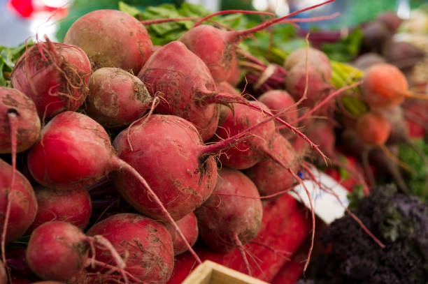 Bunch of fresh radishes in market stall