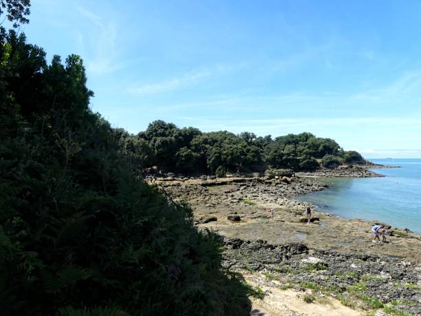 istock View of the beach 2166069496
