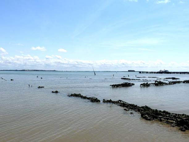 istock View of the beach 2166071028