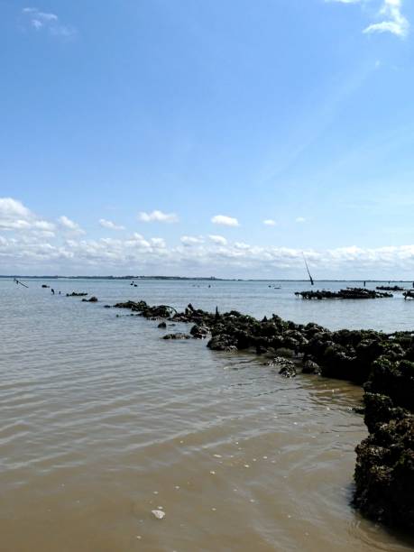 istock View of the beach 2166071142