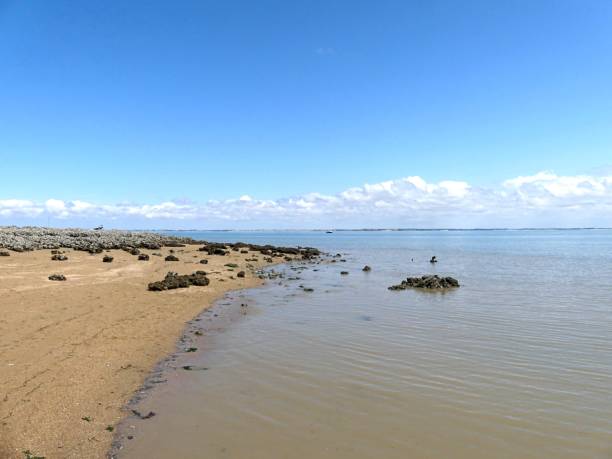 istock View of the beach 2166071279
