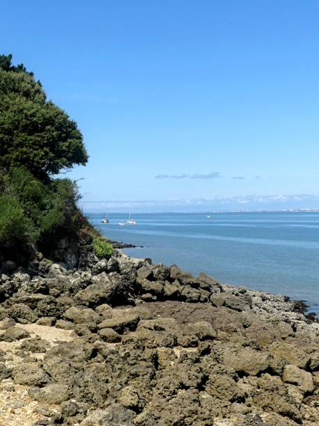 istock View of the beach 2166071752