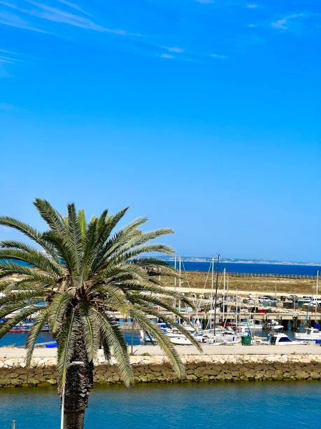 istock Coastal paradise: Tranquil marina in Portugal 2166074321