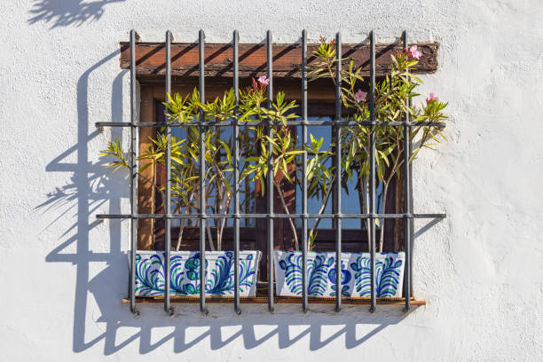 Blue wooden window on a white facade, typical house in a Spanish traditional village. Flower pot with pink flowers behind the metal bars. Almería, Andalusia, South Spain