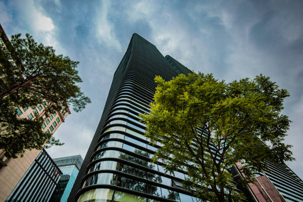istock Modern Skyscraper and Green Trees Against a Cloudy Sky 2166076696